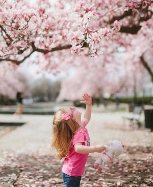 What is the Meaning of John 10:10?