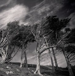 God and Our Struggle with Sin