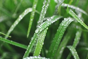 What is Grace and How Does It Work?