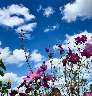 Jeremiah 29:11 – God’s Thoughts of Us